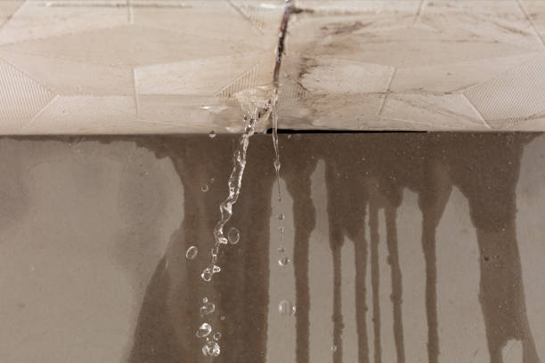 Professional Structural Drying technician working in Moss Point, MS